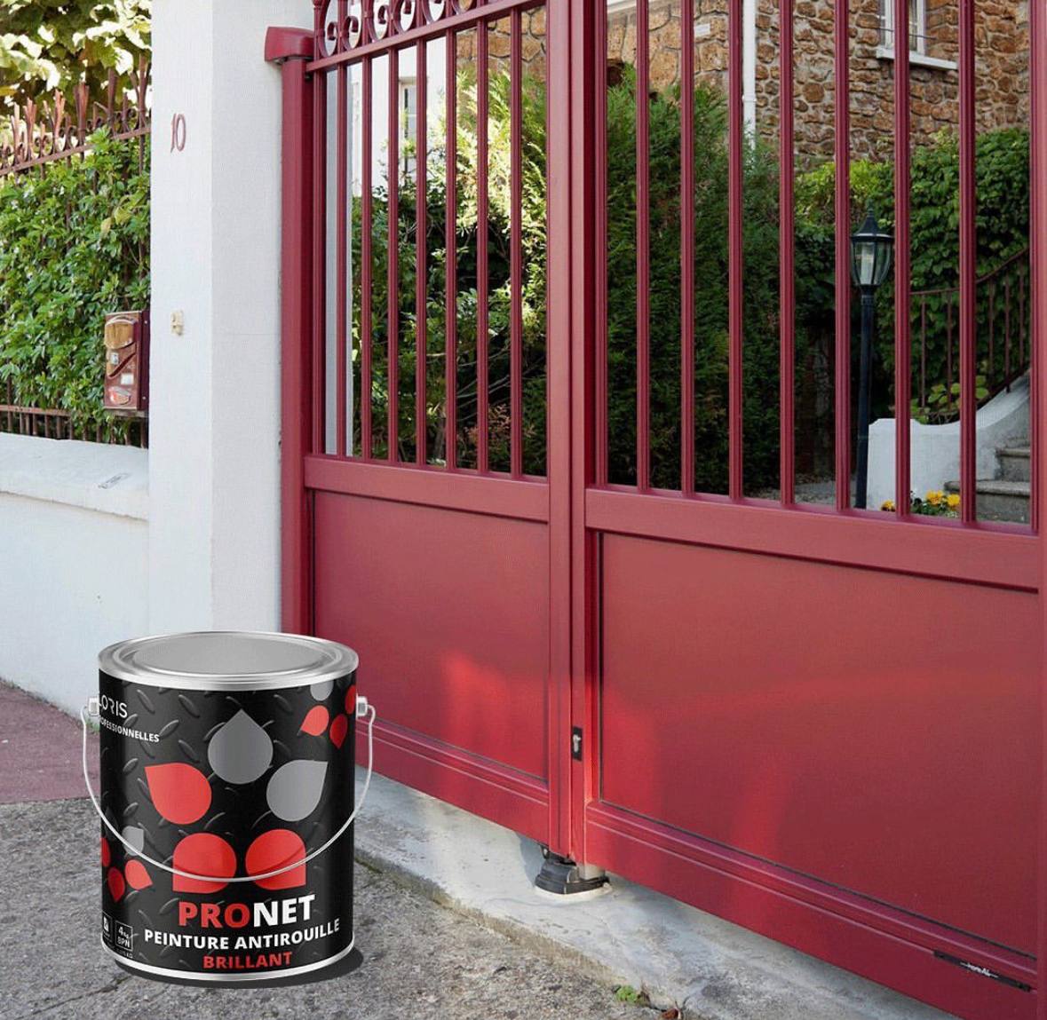 Peinture Pronet – Image 2