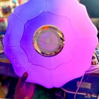 Lumineuse